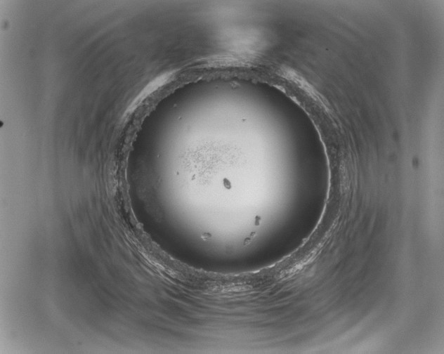 X0000067951213200604171427