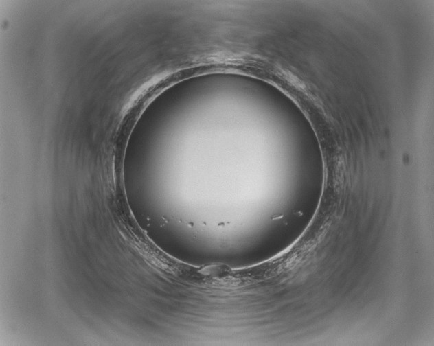 X0000067951214200604171427