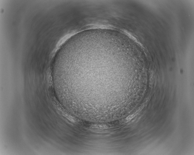 X0000067951215200604171427