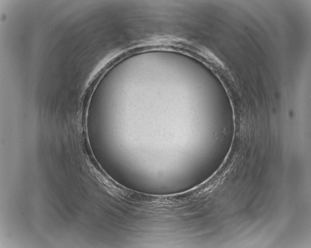 X0000067951216200604171427