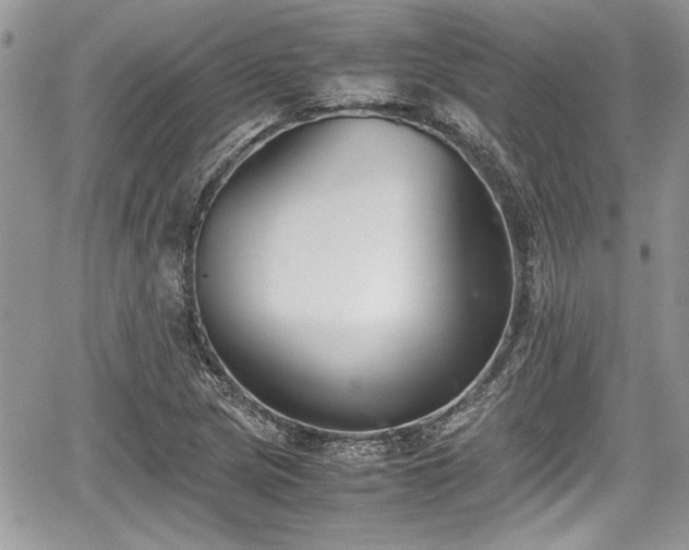 X0000067951217200604171427