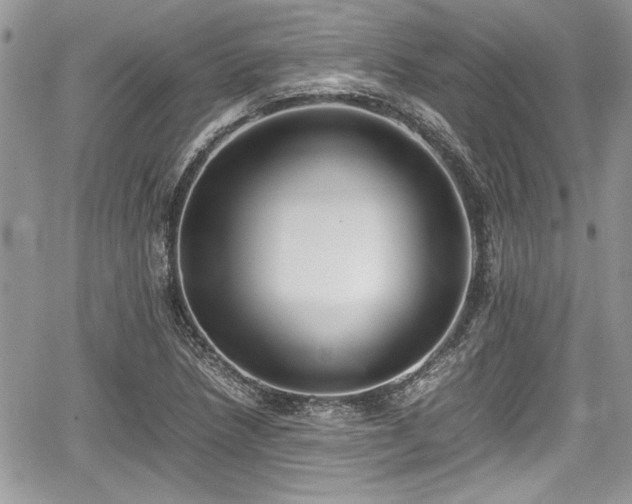 X0000067951218200604171427