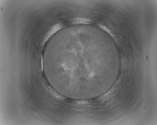 X0000067951219200604171427