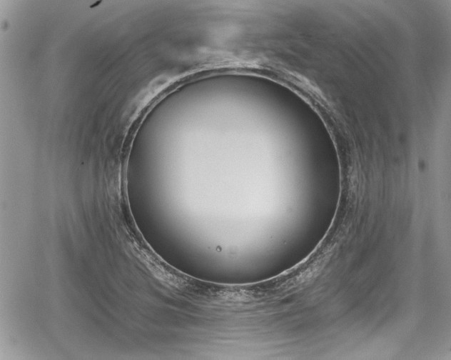 X0000067951220200604171427