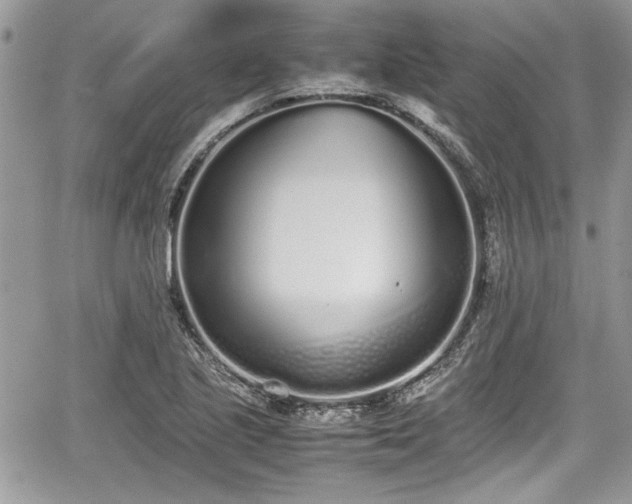 X0000067951221200604171427