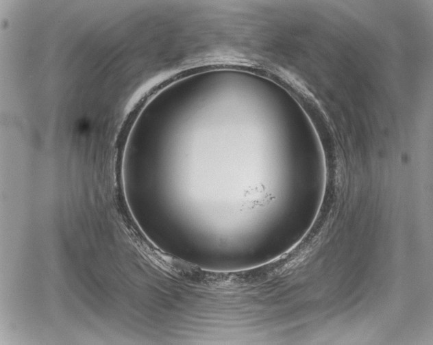 X0000067951222200604171427