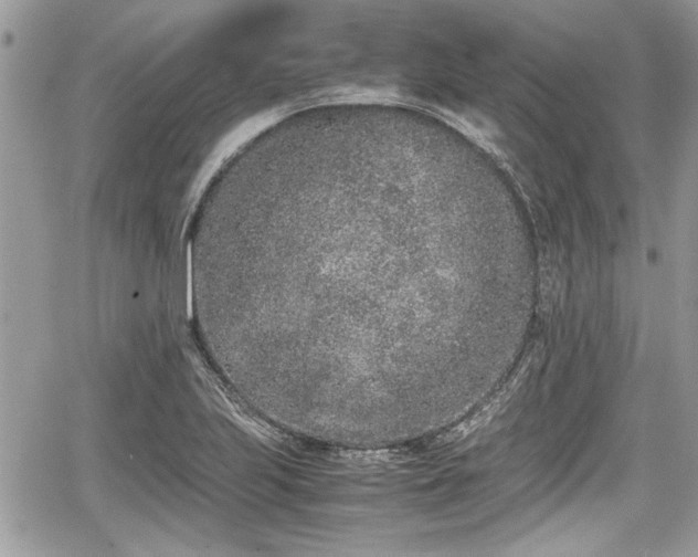 X0000067951223200604171427