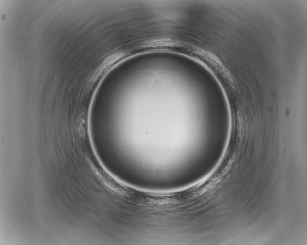 X0000067951225200604171427