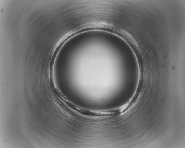 X0000067951226200604171427