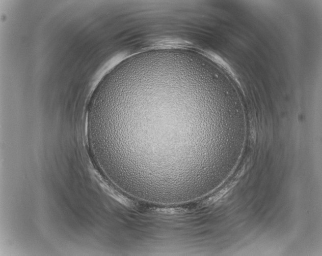 X0000067951227200604171427