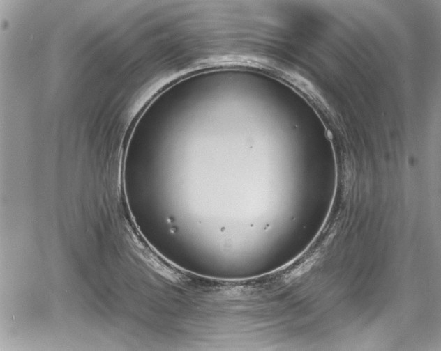 X0000067951228200604171427