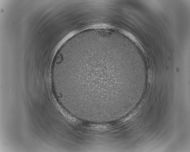 X0000067951229200604171427