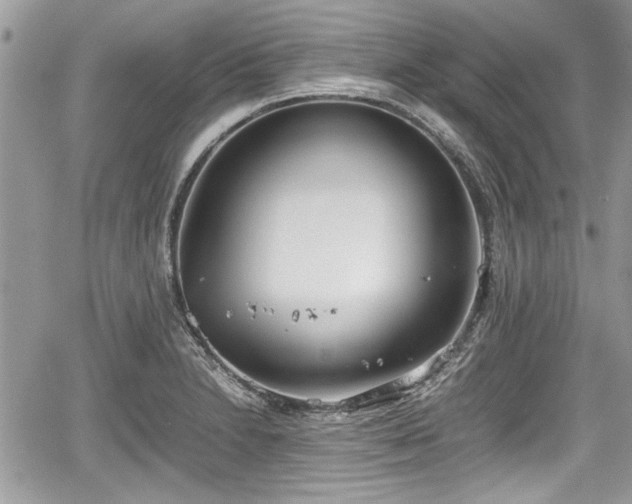 X0000067951230200604171427