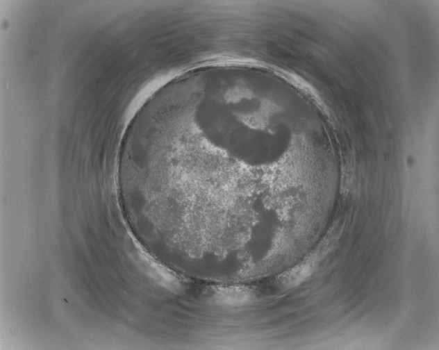 X0000067951231200604171427