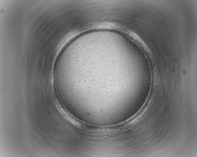 X0000067951232200604171427