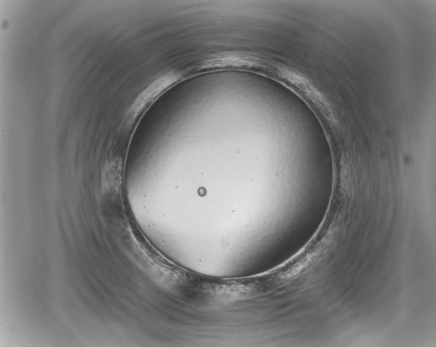 X0000067951233200604171427