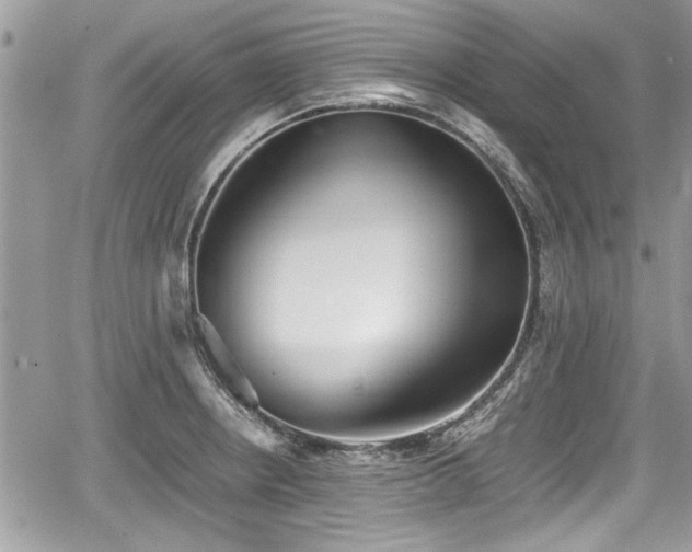 X0000067951234200604171427