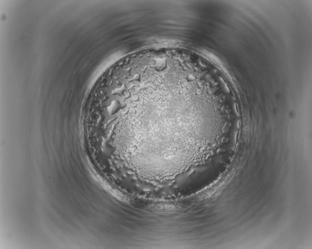 X0000067951235200604171427