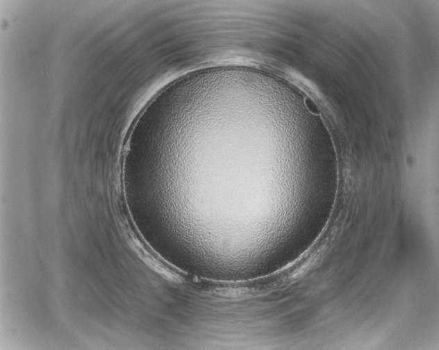 X0000067951236200604171427