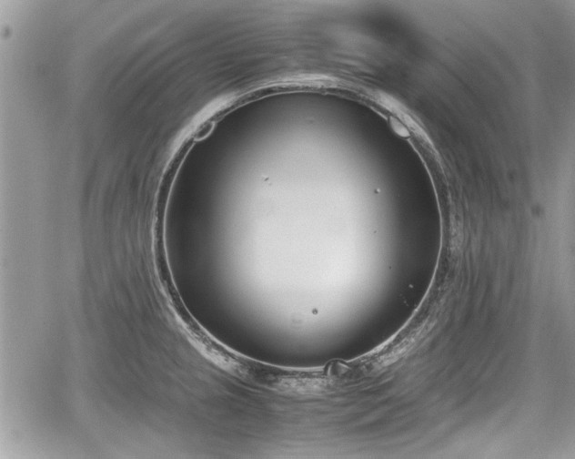 X0000067951237200604171427