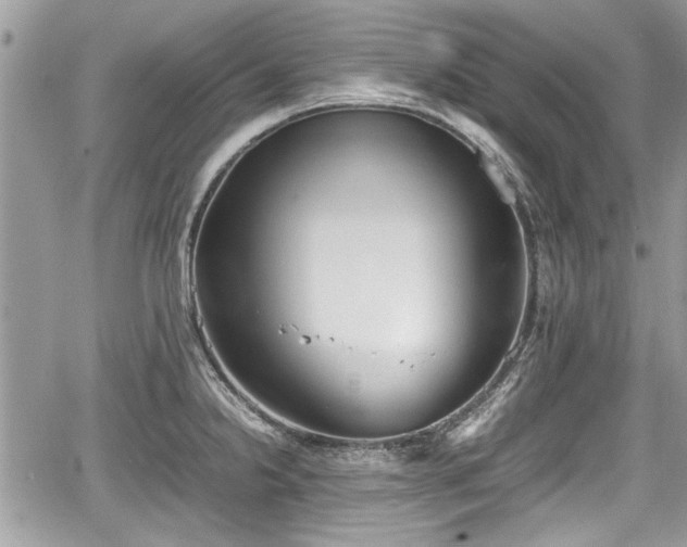 X0000067951238200604171427