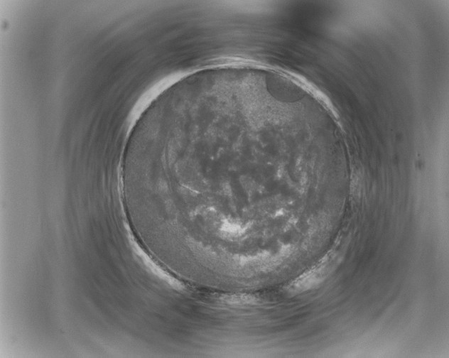 X0000067951239200604171427