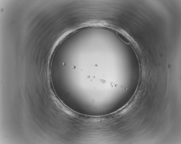 X0000067951240200604171427