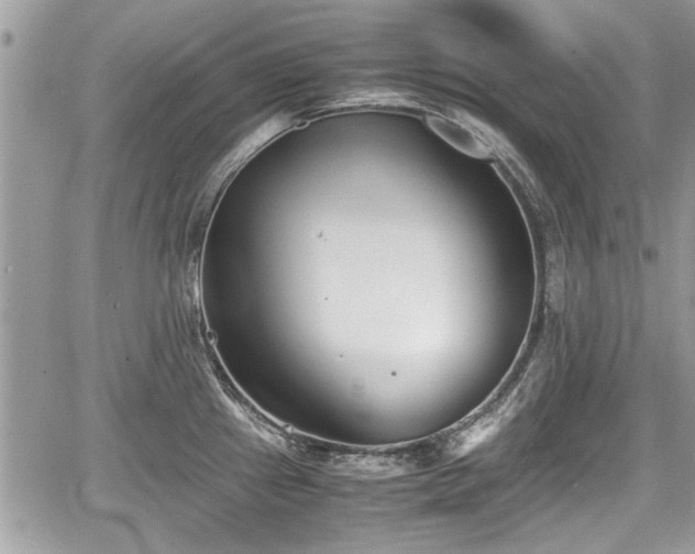 X0000067951241200604171427