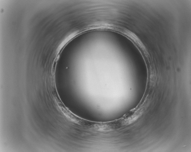 X0000067951242200604171427