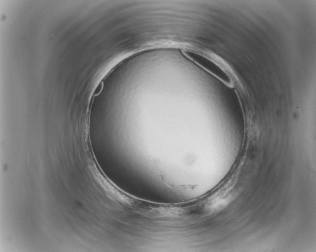 X0000067951244200604171427