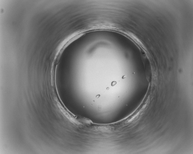 X0000067951246200604171427