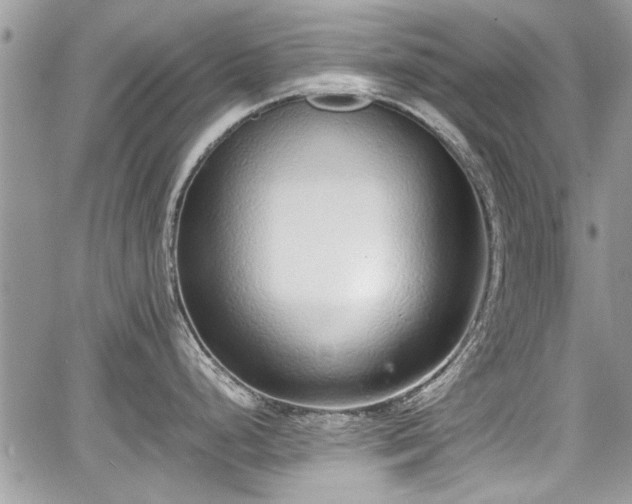 X0000067951248200604171427