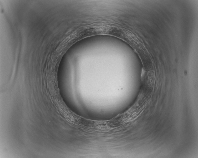 X0000067951249200604171426