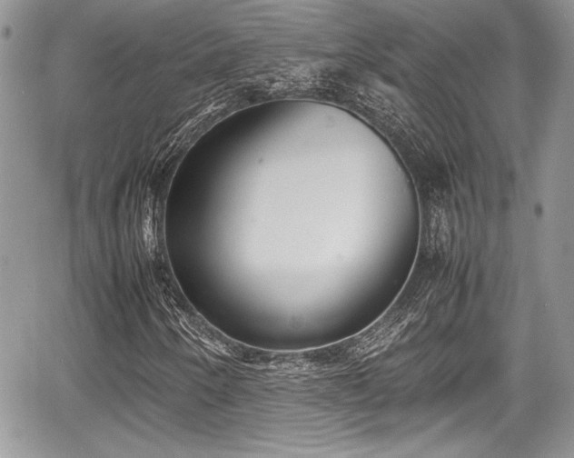 X0000067951250200604171426