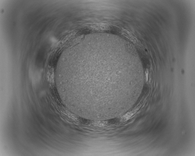 X0000067951251200604171426