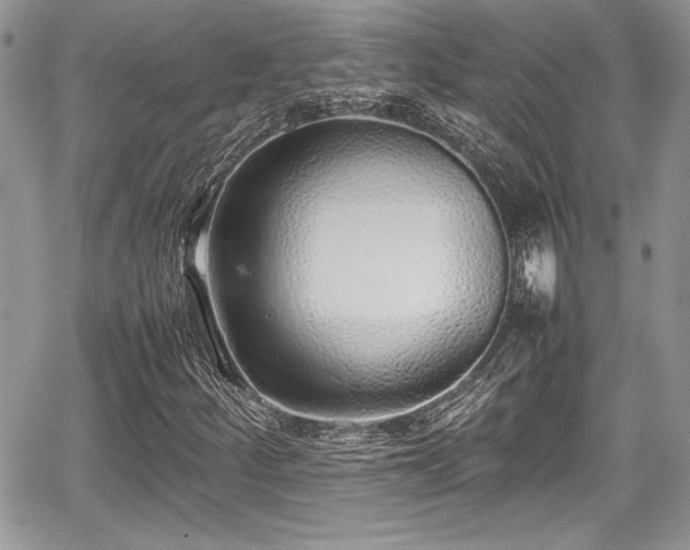 X0000067951252200604171426