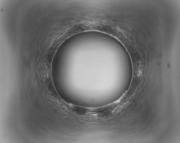 X0000067951253200604171426