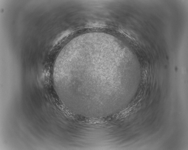 X0000067951254200604171426