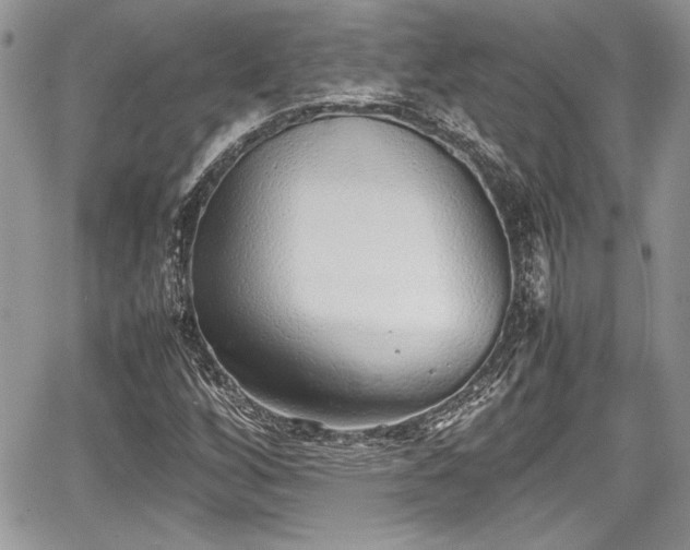 X0000067951256200604171426