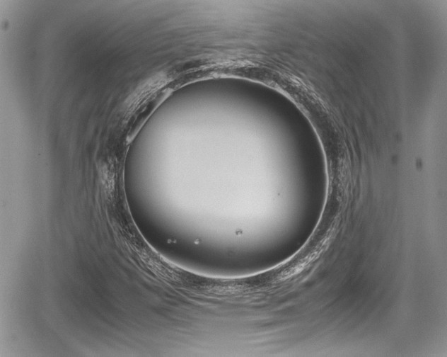 X0000067951257200604171426