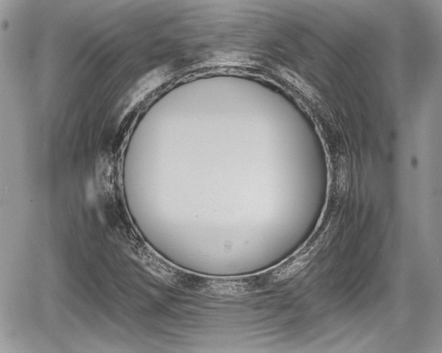 X0000067951258200604171426