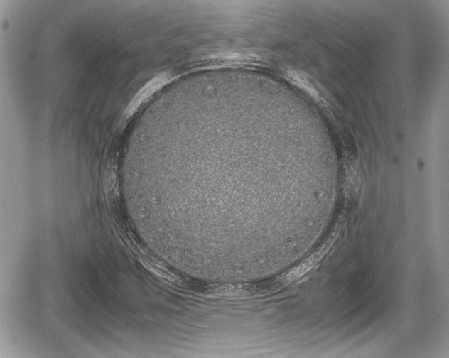 X0000067951259200604171426