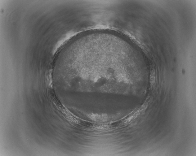 X0000067951262200604171426