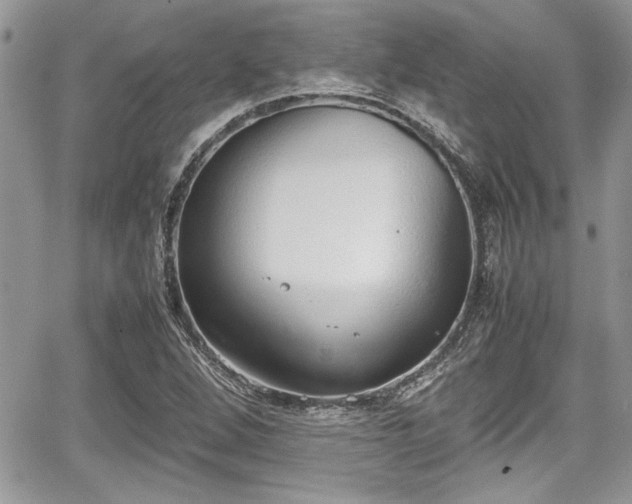 X0000067951264200604171426