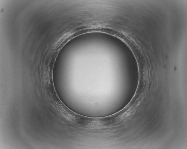 X0000067951265200604171426