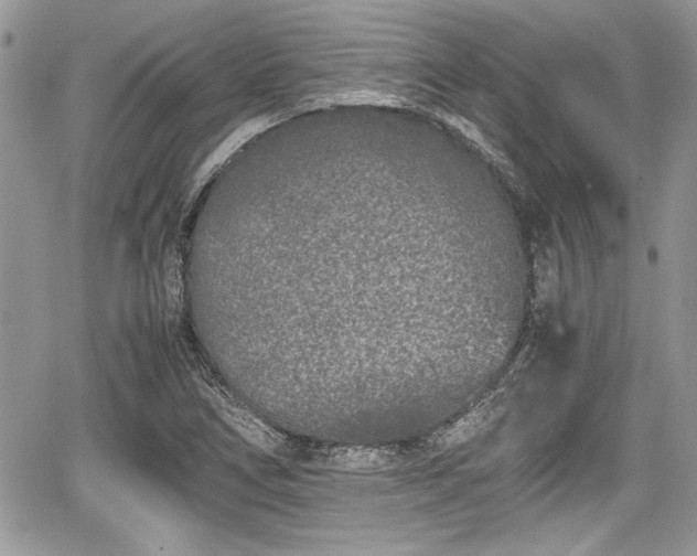 X0000067951266200604171426