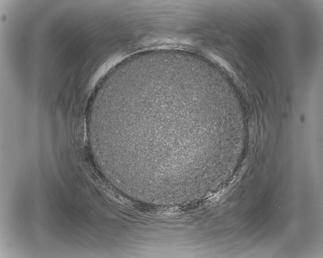 X0000067951267200604171426