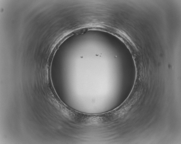 X0000067951268200604171426