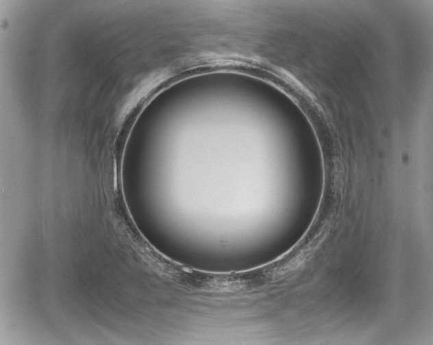 X0000067951269200604171426