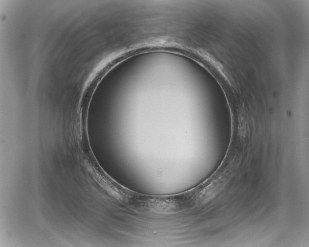 X0000067951270200604171426